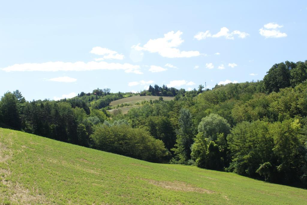 Agriturismo Casa Garello Salice Terme Eksteriør bilde